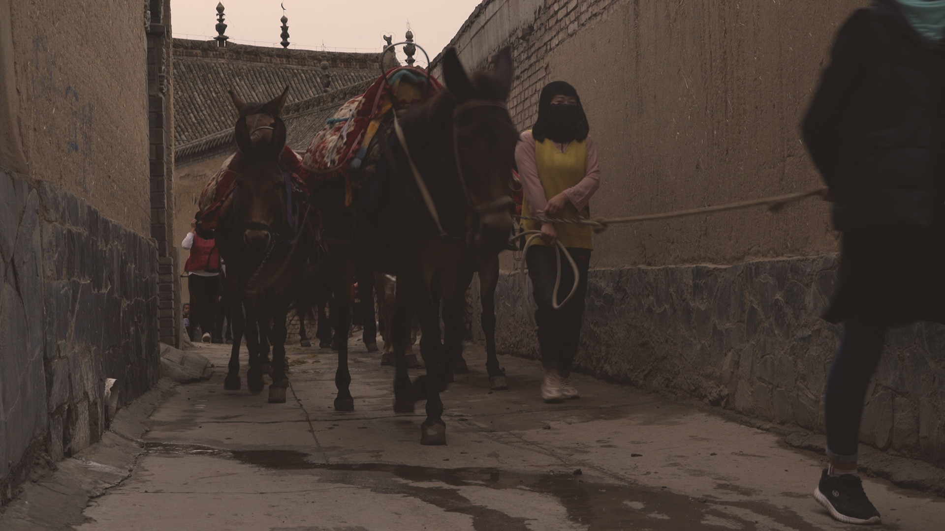 the road of the weather 5