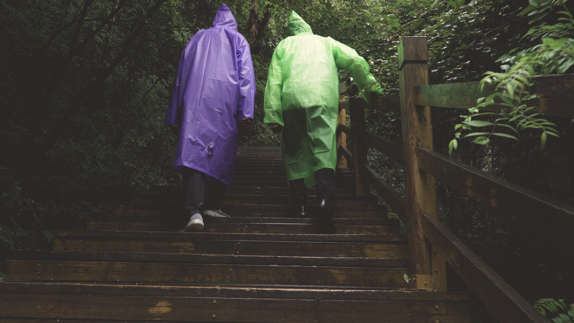 the road of the weather 7